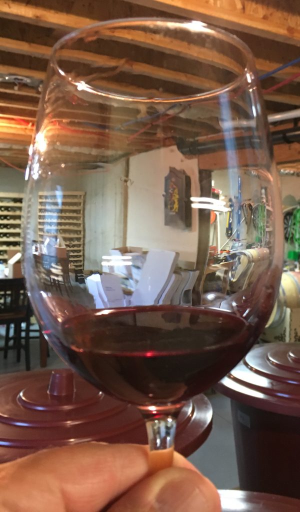 Facts About Red Zinfandel All Zins